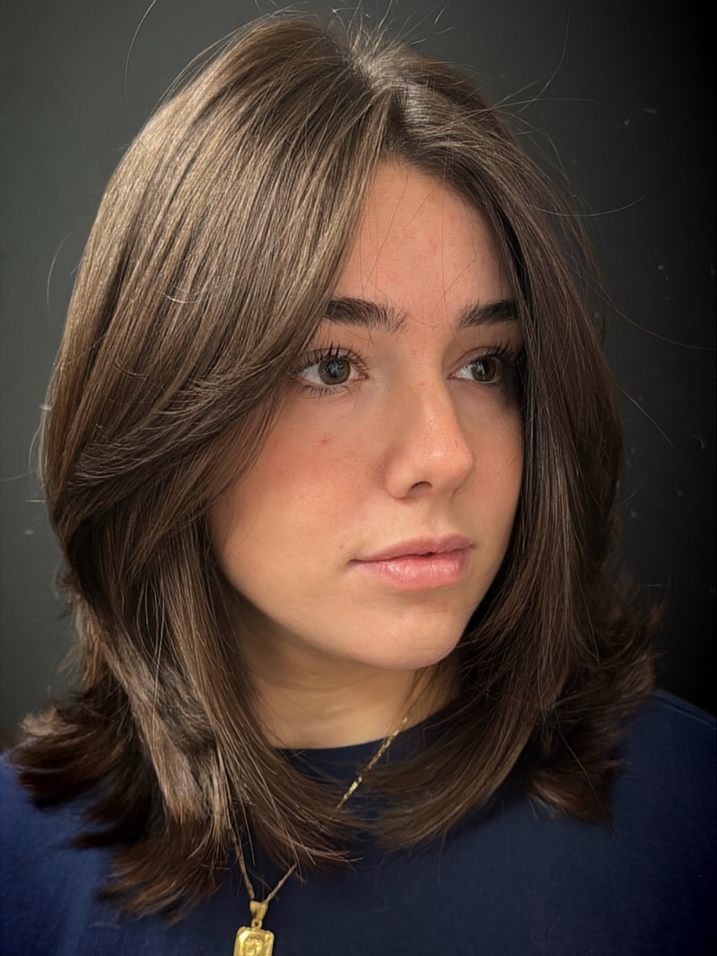 Textured Brunette Shag Haircut with Face-Framing Layers and Wispy Ends