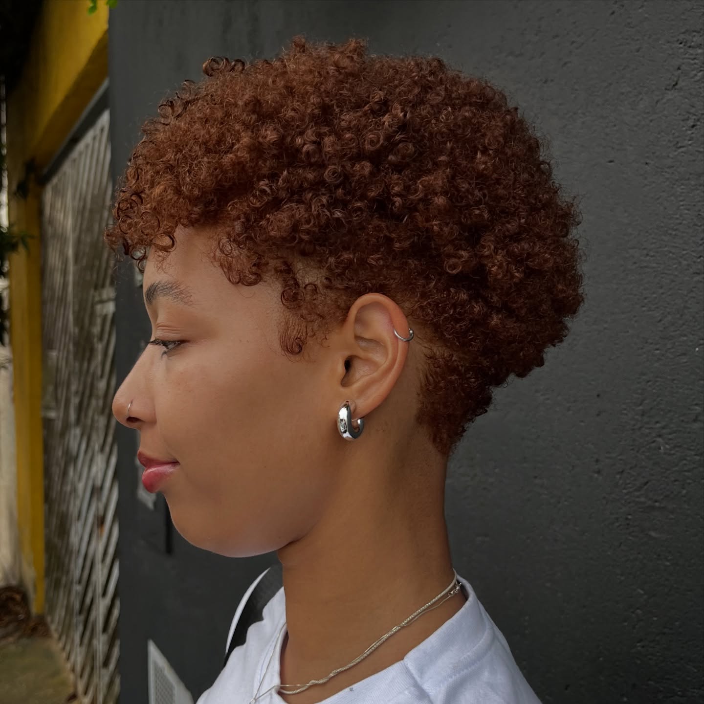 Coily Tapered Cut with Length on Top