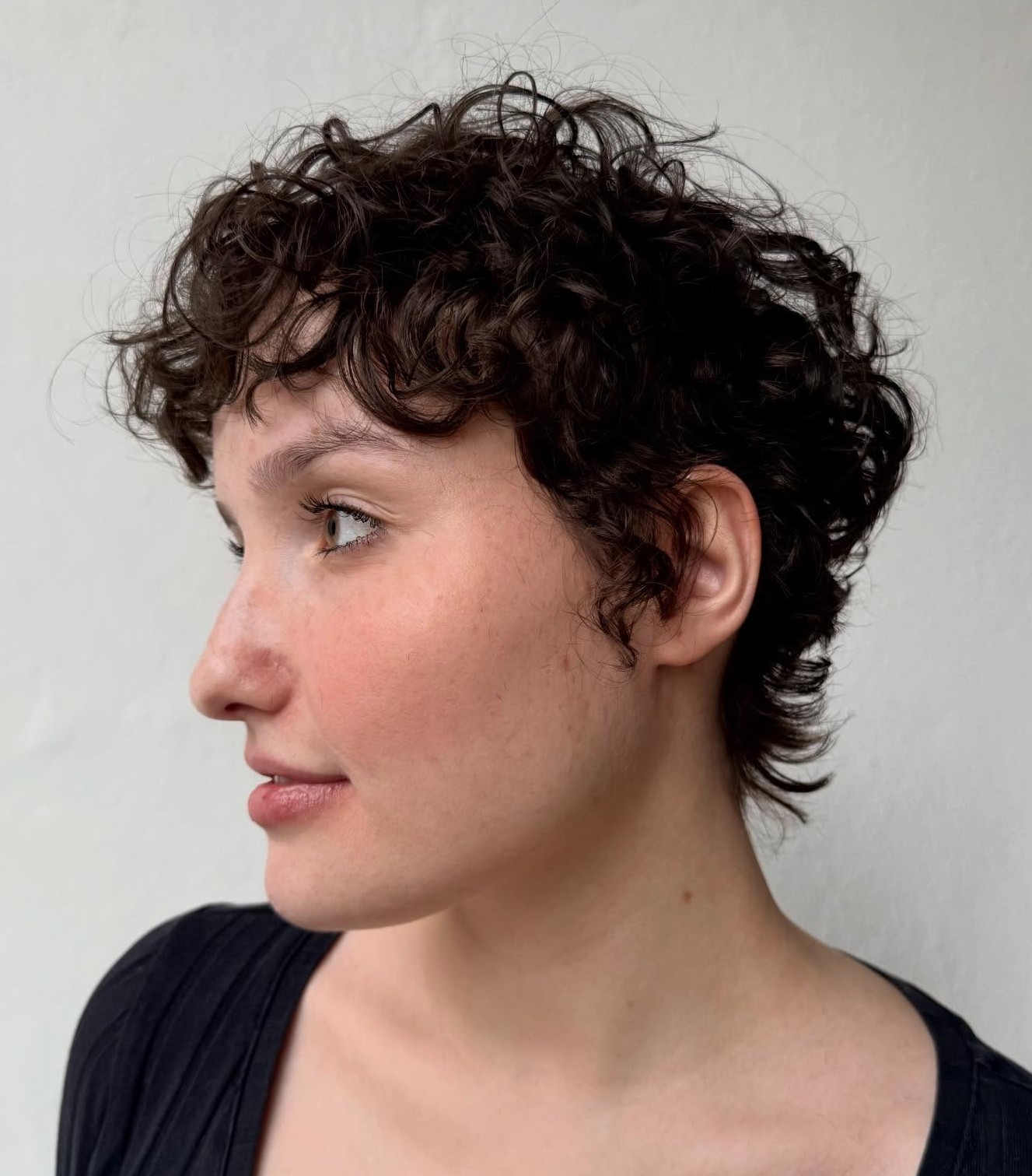 Curly Pixie Cut with Defined Spiral Curls Showing Texture and Movement in Natural Light