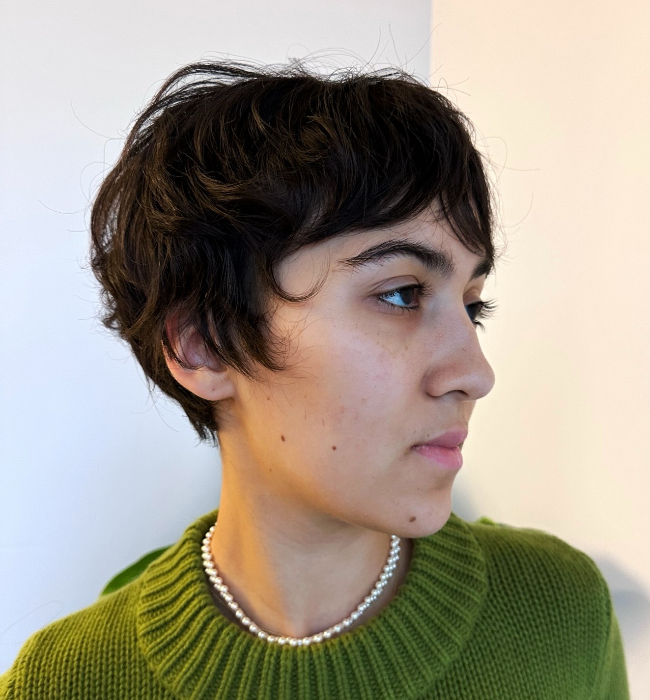 Layered Pixie Cut on Thick Dark Hair with Textured Movement and Defined Volume at the Crown