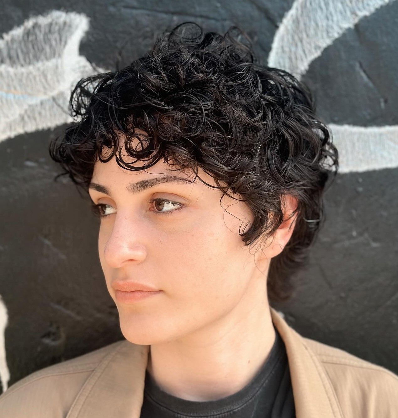 Curly Textured Pixie Cut on Natural 3A Curls Showing Defined Spiral Pattern and Volume