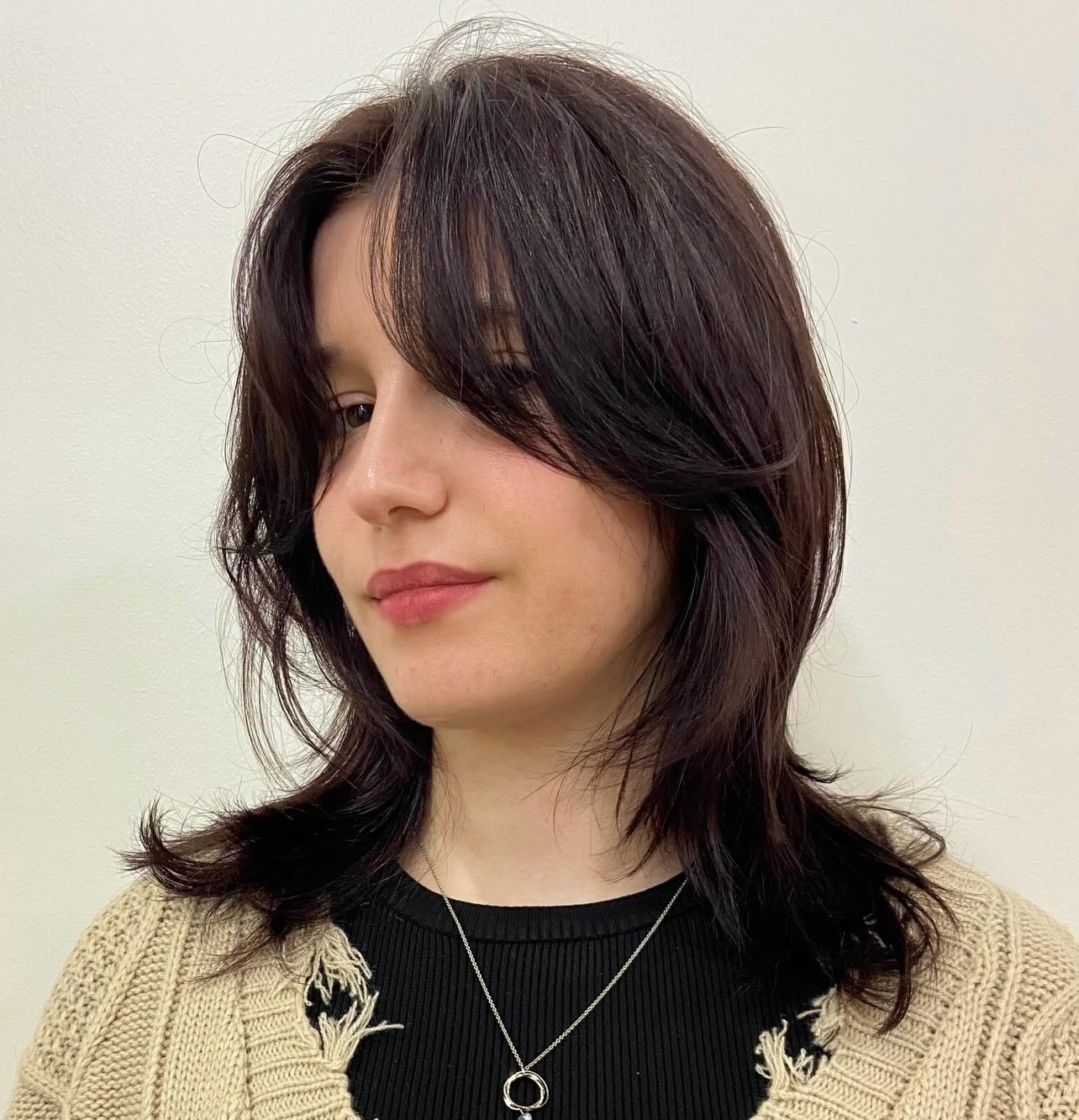 Soft Dark Brown Medium Shag with Face-Framing Layers