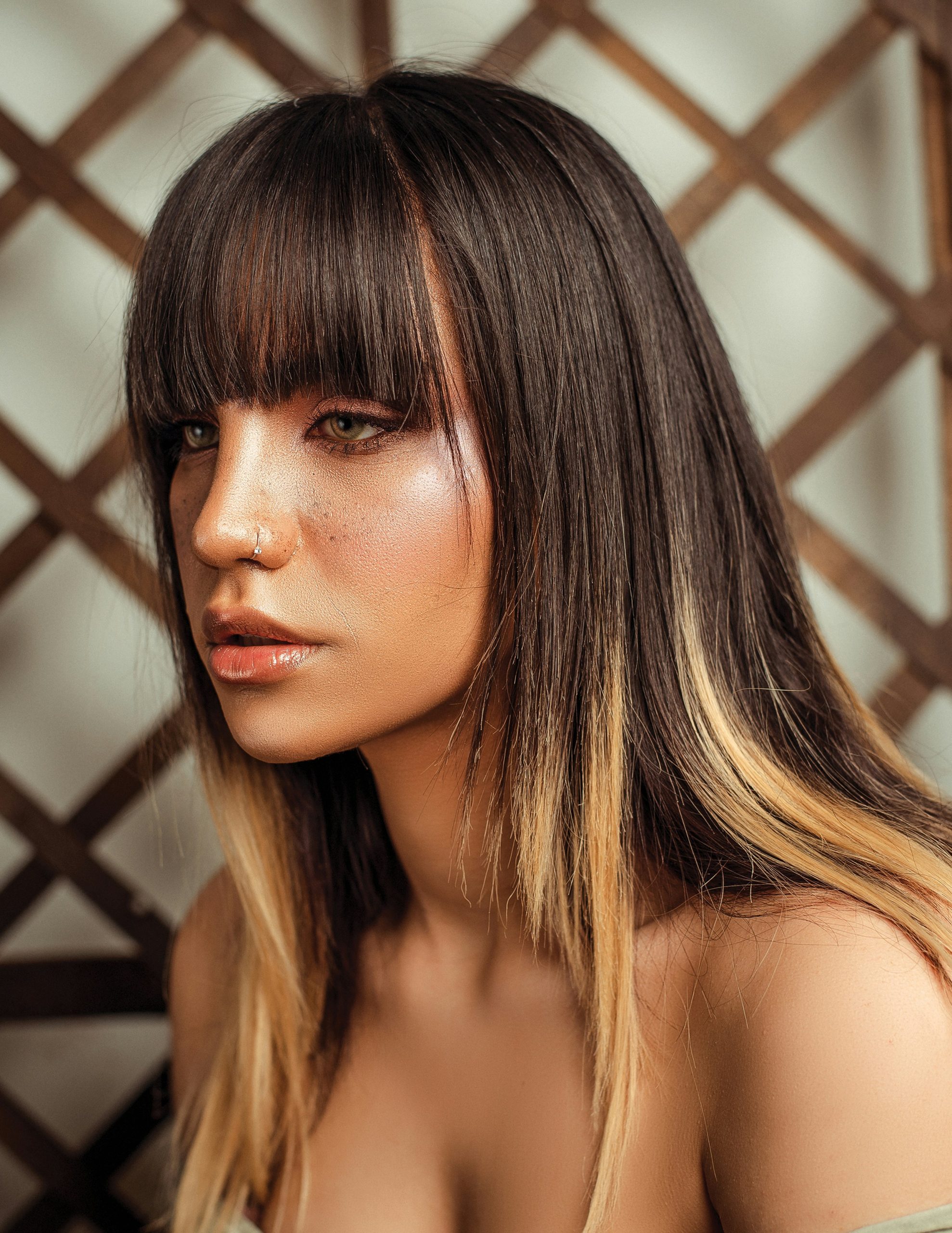 Skunk Highlights Showing Bold Two-Tone Contrast Between Light and Dark Sections