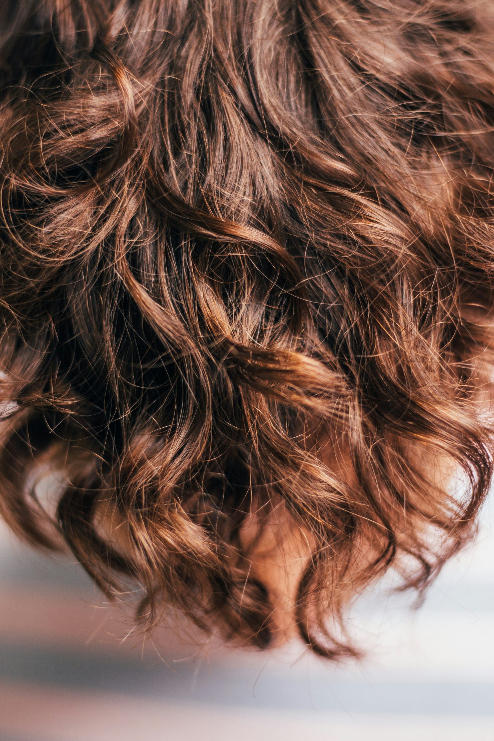 Side-by-Side Shag Haircut and Layered Cut Comparing Layer Placement and Texture